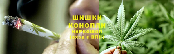 ПСИЛОЦИБИНОВЫЕ ГРИБЫ Балабаново