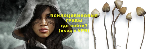 прущая мука Балахна
