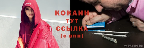 ПСИЛОЦИБИНОВЫЕ ГРИБЫ Балабаново