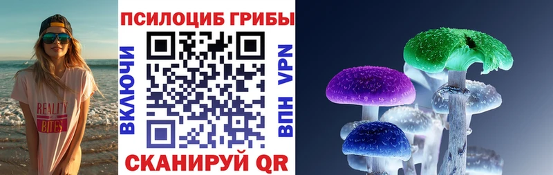 Галлюциногенные грибы Psilocybine cubensis где купить наркоту Омск